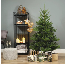 Décoration de salon de Noël avec sapin, cadeaux et étagère