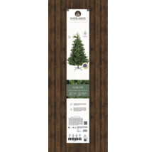 Sapin Alba Everlands, arbre de Noël artificiel dans son emballage