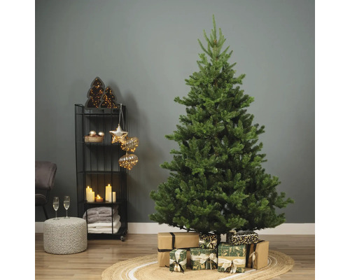 Dekorative Weihnachtsszene mit Tannenbaum und Geschenken auf einem Teppich