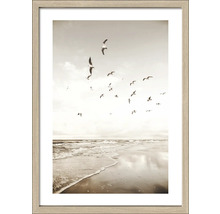 Gerahmtes Bild Seagulls On The Beach II 53x73 cm