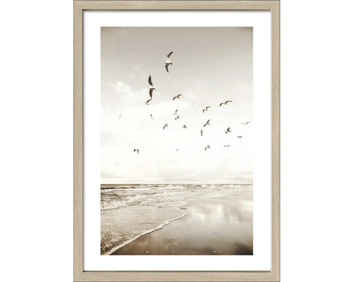 Gerahmtes Bild Seagulls On The Beach II 53x73 cm