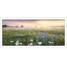 Gerahmtes Bild einer nebligen Wiese mit Wildblumen