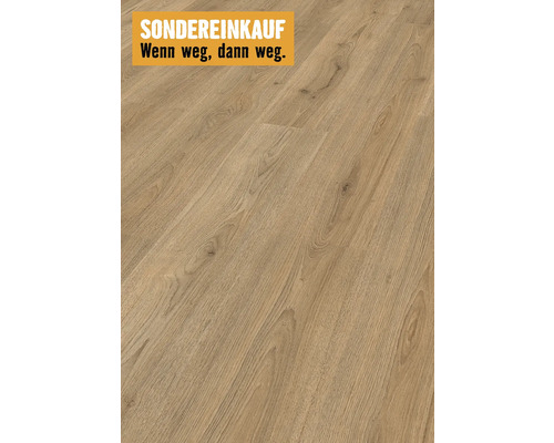 Stratifié Trend chêne marron plancher maison de campagne 1376 x 193 x 6 mm Stratifié Trend chêne marron plancher maison de campagne 1376 x 193 x 6 mm