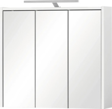Armoire de toilette avec trois portes et éclairage