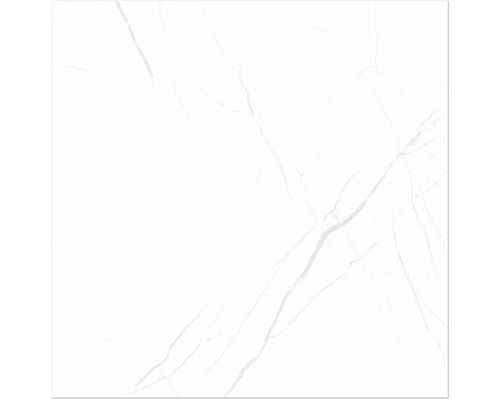 Carreau blanc avec veinures de marbre