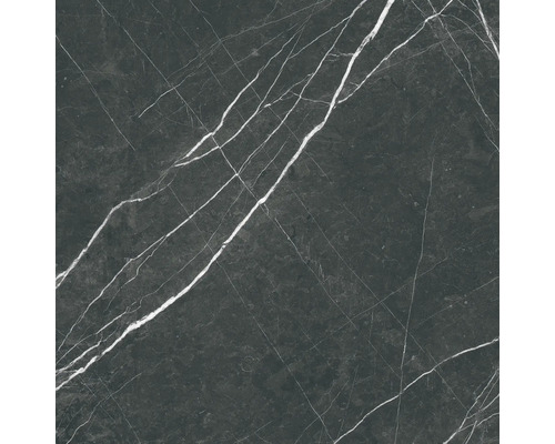 Fliese mit Marmoroptik und Maserung