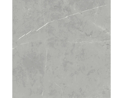 Steinzeug Wand- und Bodenfliese Davos grey 60 x 60 x 0,9 cm glänzend