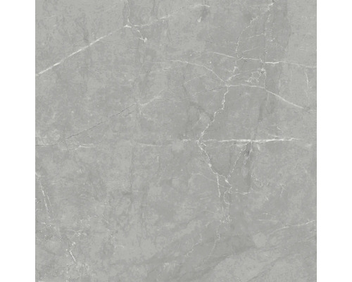 Graue Fliese mit Marmoroptik für den Innenbereich