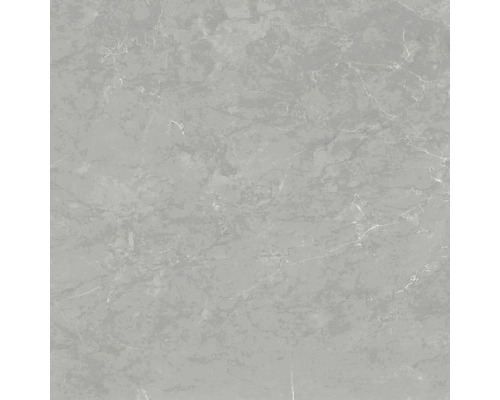 Graue Fliese mit Marmoroptik