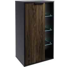 Armoire avec porte coulissante, structure en bois et étagères en verre