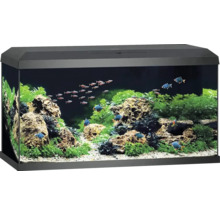 Aquarium Juwel Primo 110 LED 2.0 avec couvercle, filtre Bioflow Super, pompe Eccoflow, AquaHeat Pro, NovoLux LED env. 81 x 36 x 43,5 cm, env. 110 l noir