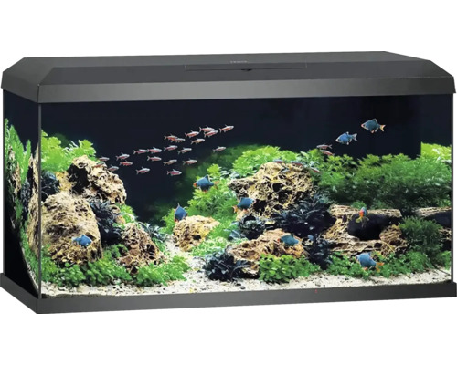 Aquarium Juwel avec couvercle éclairage système de filtre pompe de circulation filtre intérieur chauffage/thermoplongeur 81 x 36 x 43,5 cm, env. 110 l
