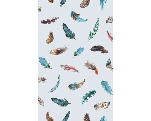 Illustration avec des plumes sur fond clair