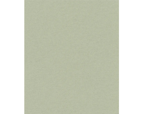 Papier peint intissé 600285 Schöner Wohnen uni vert Arrière-plan uni