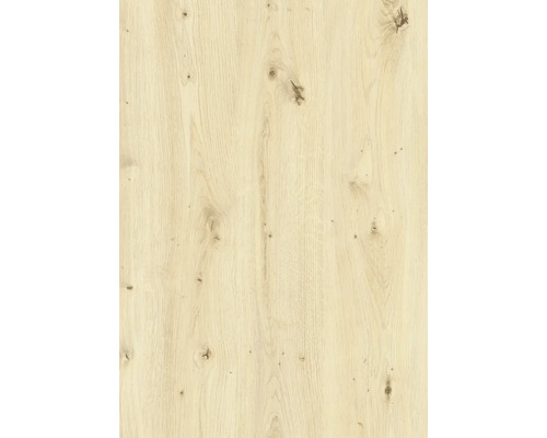 Texture de bois avec nœuds pour aménagement intérieur