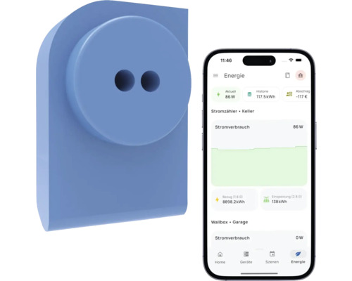 everHome EcoTracker - Kompatibel mit SMART HOME by hornbach