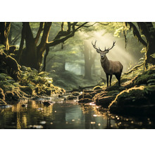 Hirsch im Wald mit Bachlauf und Bäumen