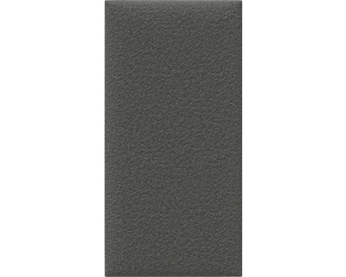 Carreau en grès cérame foncé avec une légère texture