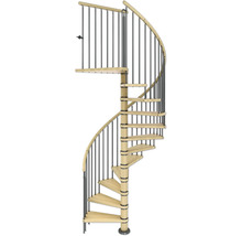 Escalier en colimaçon avec balustrade en métal et marches en bois