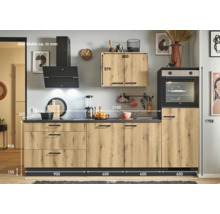 Komplette Küche mit Einbaubackofen, Dunstabzugshaube, Hängeschrank und Spüle