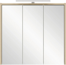 Armoire de toilette avec trois portes et éclairage