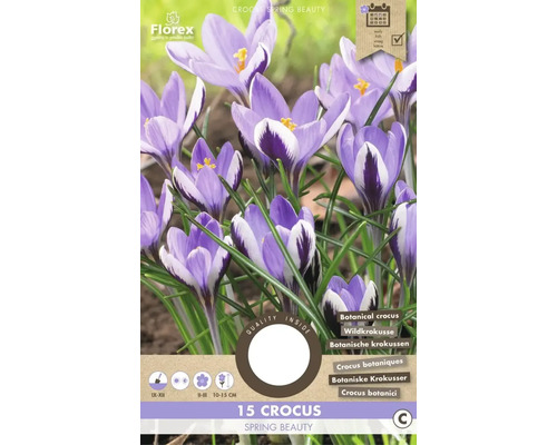 Bulbes de crocus 'Spring Beauty' 15 pièces