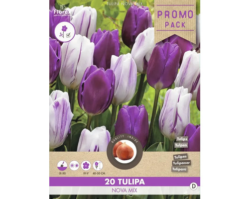 Lot de 20 bulbes de tulipes Nova Mix