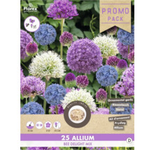 Emballage de mélange d''ail d''ornement avec la mention période de floraison de mai à juin et période de plantation de septembre à décembre.