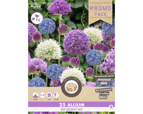 Bulbe Allium ' Bee delight ' 35 pièces