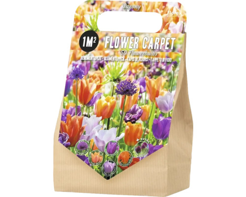 Blumenzwiebel-Mischung 'Saxony' mit Tulpe & Zierlauch für 1 m²