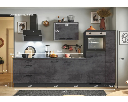 Cuisine avec hotte aspirante, armoire suspendue et four intégré