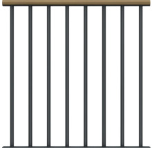 Garde-corps avec barreaux métalliques et main courante en bois