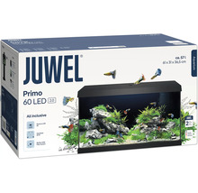 Juwel Primo 60 LED Aquarium Komplettset im Karton