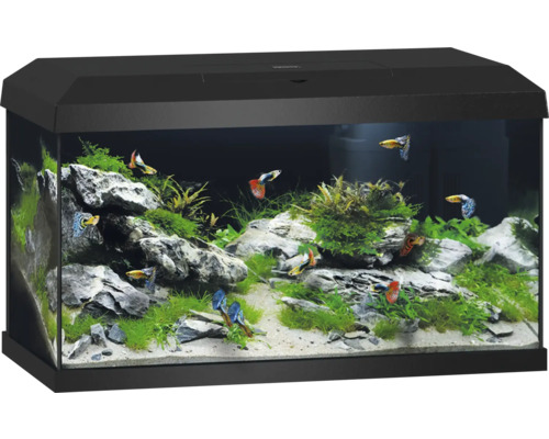 Set aquarium JUWEL Primo 60 avec couvercle avec éclairage LED, chauffage, filtre sans meuble bas, noir, 61 x 37 x 37 cm , 57 l