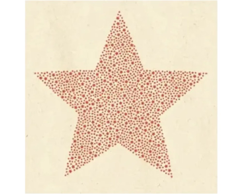 Servietten 25 x 25 cm 20er Cocktail Star