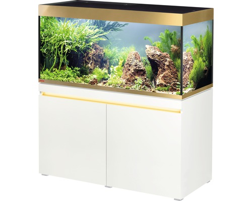 Kit complet d'aquarium EHEIM incpiria 430 gold - édition limitée avec éclairage et meuble bas
