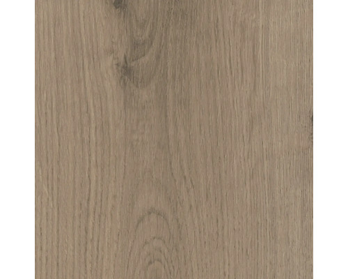Gros plan d''une surface en bois