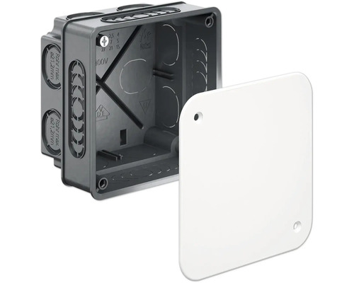 Coffret de branchement Kaiser 1094-91 avec couvercle encastré 87x87x60 mm 100 pièces Boîtier d''appareillage avec couvercle pour installations électriques