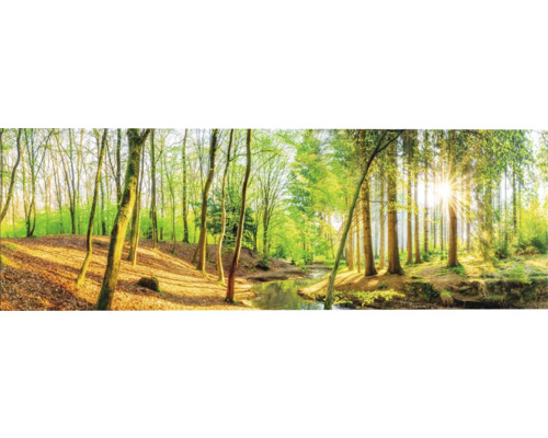 Panneau décoratif Spring Woods 138x48 cm