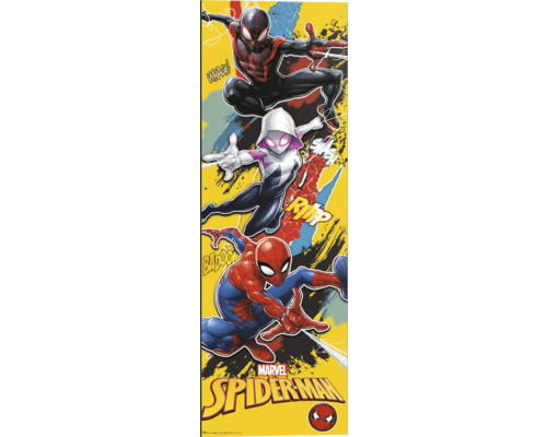 Decopanel Spider-Man 52x156 cm