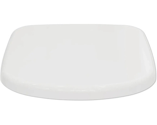 Toilettendeckel aus Kunststoff