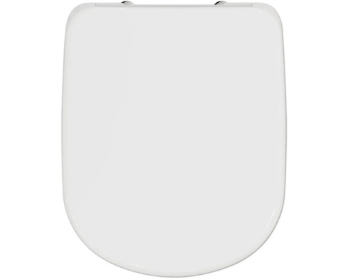 Toilettendeckel aus Kunststoff, Aufsicht