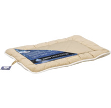 Coussin pour chien beige avec nanotechnologie