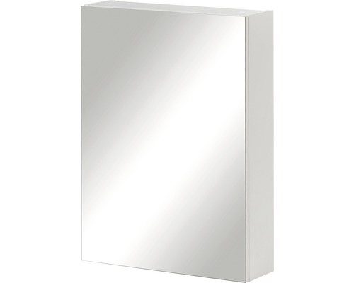 Armoire de toilette Möbelpartner Basic 50 x 15,8 x 70 cm blanc à haute brillance 1 porte
