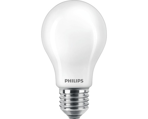 Ampoule LED A60 mat E27/4,5 W (40 W) 470 lm 2700 K blanc chaud