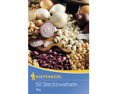 Steckzwiebel Trio 50 Stk. rote, weiße und gelbe