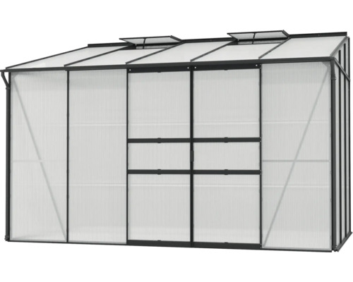 Serre avec panneaux en polycarbonate et fenêtres de toit