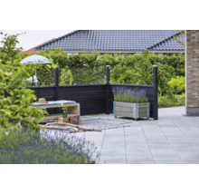 Espace extérieur avec éléments de clôture en bois et verre, banc avec coussin, pot de fleurs avec lavande et sol en pierre