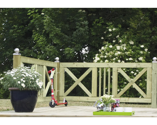 Terrasse en bois avec garde-corps, pot de fleurs et trottinette