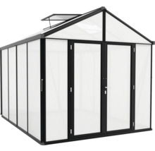 Gewächshaus Vitavia Zeus Comfort 8100 Hohlkammerplatten 10 mm mit Bodenprofil 258,4x316,4 cm schwarz